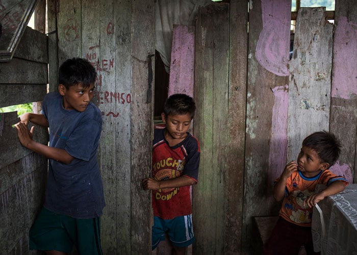 Por unos cuantos dólares se mancharon de petróleo y acabaron sus vidas