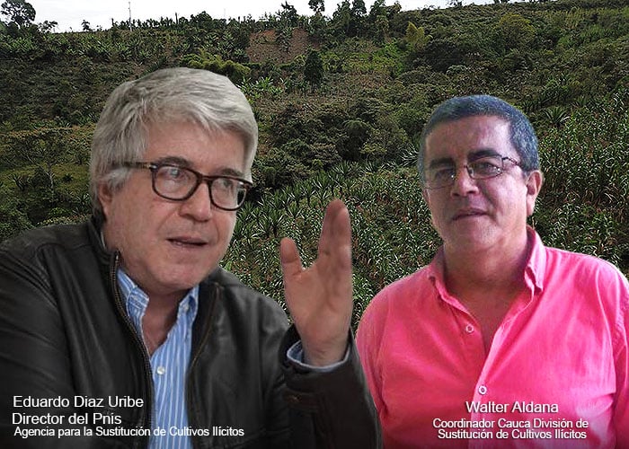 El puntillazo del gobierno Santos a la sustitución en el Cauca