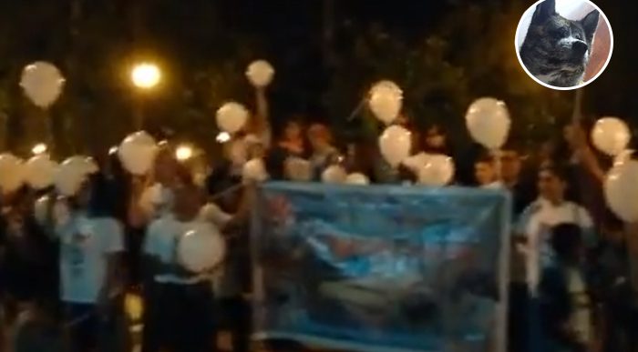  - Caso Takeshi revela que en Popayán están como en Venezuela