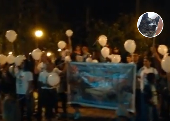 Caso Takeshi revela que en Popayán están como en Venezuela