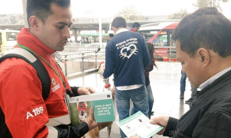 ¿Mediadores en Transmilenio?