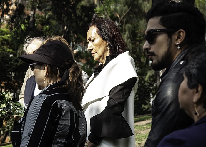 Los 11 diputados del Valle del Cauca ahora tienen un bosque en Bogotá - -- Las2orillas - Los 11 diputados del Valle del Cauca ahora tienen un bosque en Bogotá