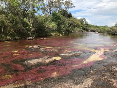 - Caño Cristales, la tecnología en el río de los siete colores