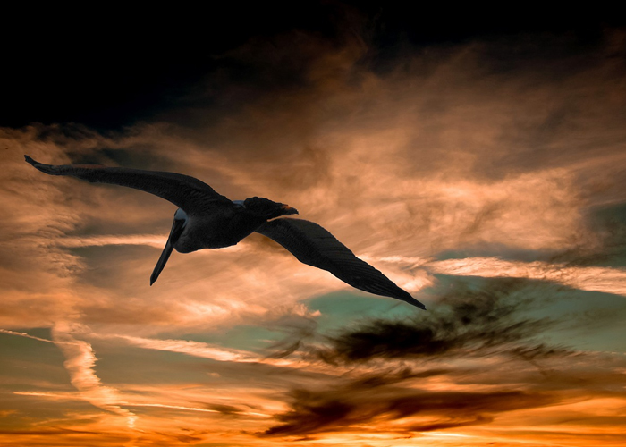 Un periplo a Costa Verde