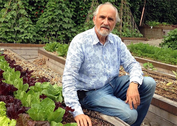 Comer sano, sí paga