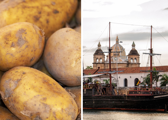 ¿IVA para qué? La agroindustria y el turismo podrían solventar la crisis económica de Colombia