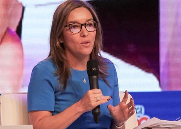 Derecho de súplica de Minminas a C. de Estado por fracking