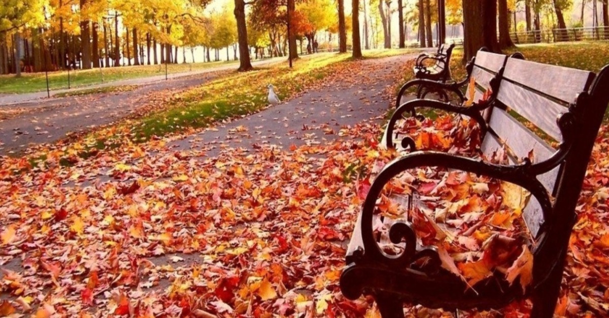 Hoy con siete, como buen duqueista