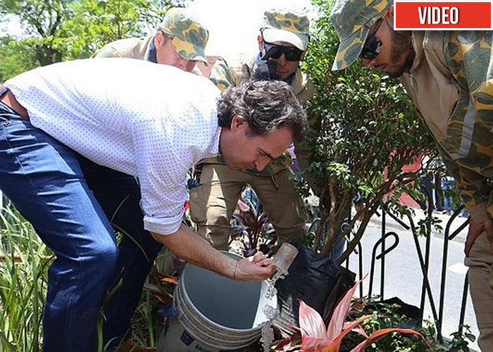 VIDEO. Árboles y más árboles para ganársela a la polución en Medellín 