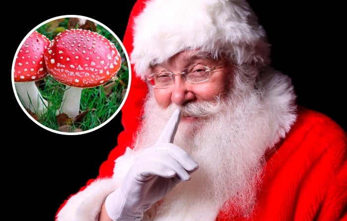 ¿Papá Noel es un chamán que come hongos alucinógenos?