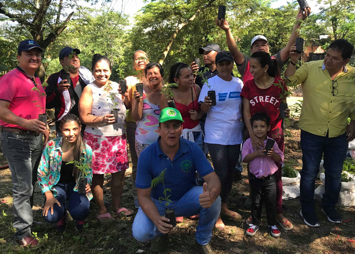 ¿Quién podrá ayudarnos a reforestar el Meta?