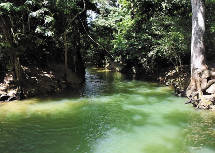 Colosó (Sucre), un oasis a punto de explotar nuevamente