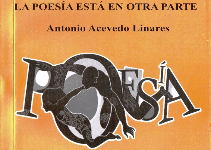 La poesía está en otra parte