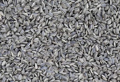  - Inoculare: en tus ojos está la verdad