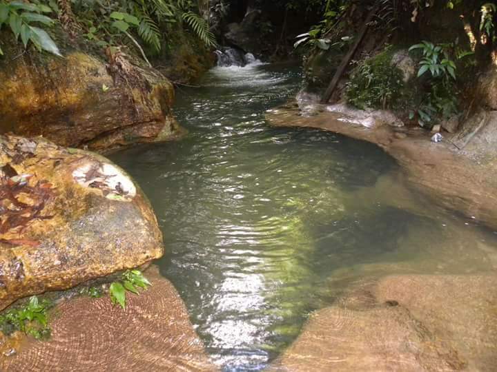 De quemadero de carbón a paraíso