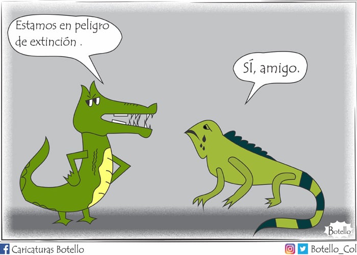 Caricatura: Vía de extinción