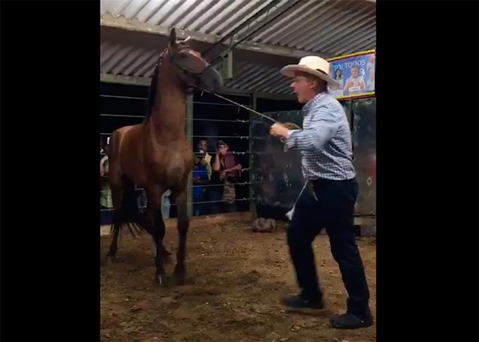 Uribe, el amansador de caballos [Video]