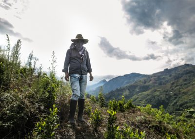  - El Cauca y la coca: una conversación postergada - Página 2