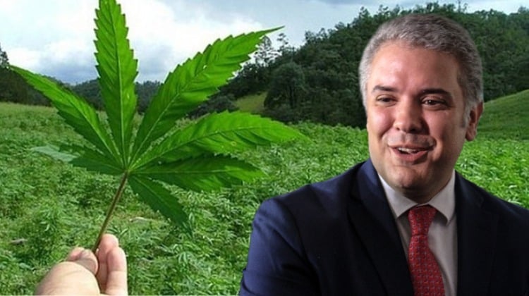 Colombia podrá exportar cannabis para uso medicinal e industrial