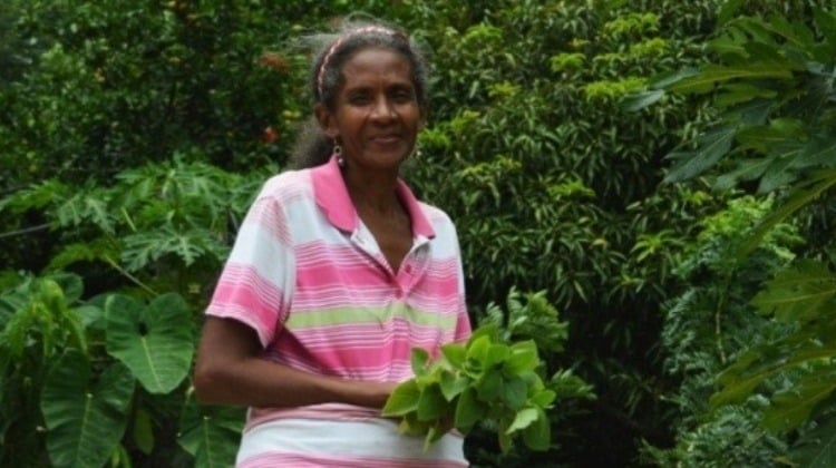 Que cese la horrible noche