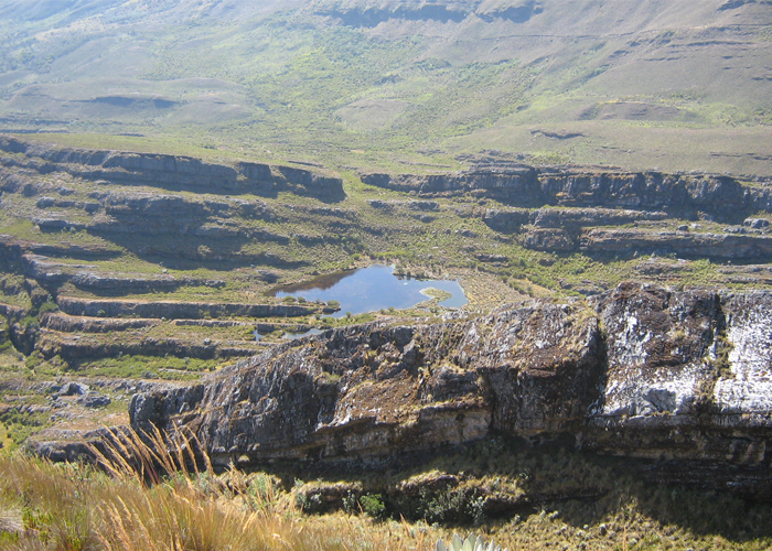 Oleoducto al Pacífico, el proyecto que afectará a cuatro regiones naturales de Colombia