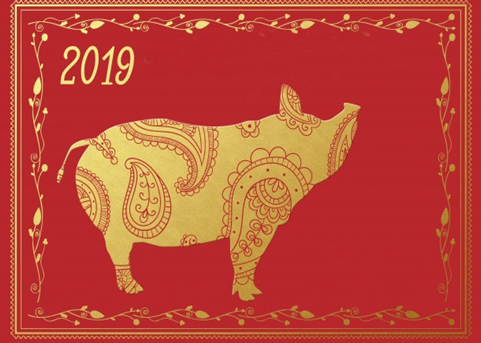 El año del cerdo