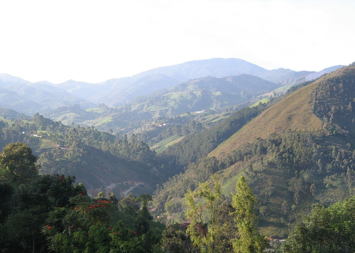 Por qué invisibilizamos los corregimientos