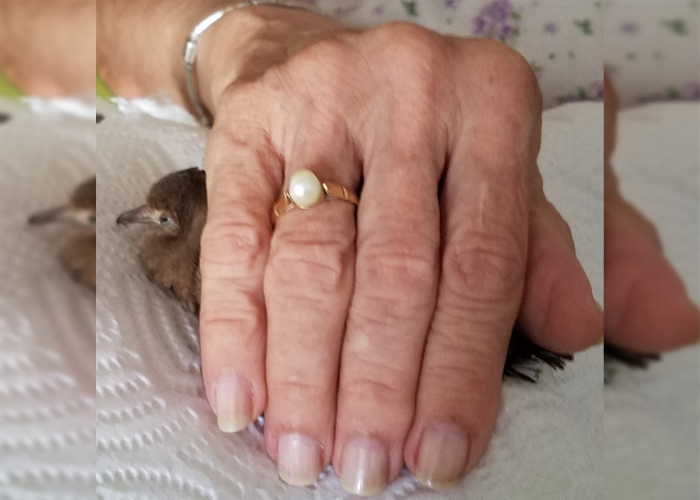 La soledad y sobrecarga de los cuidadores