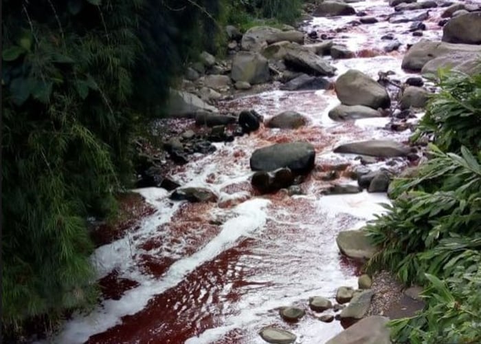 Mientras el río Cauca se está muriendo, la quebrada Olivares sangra