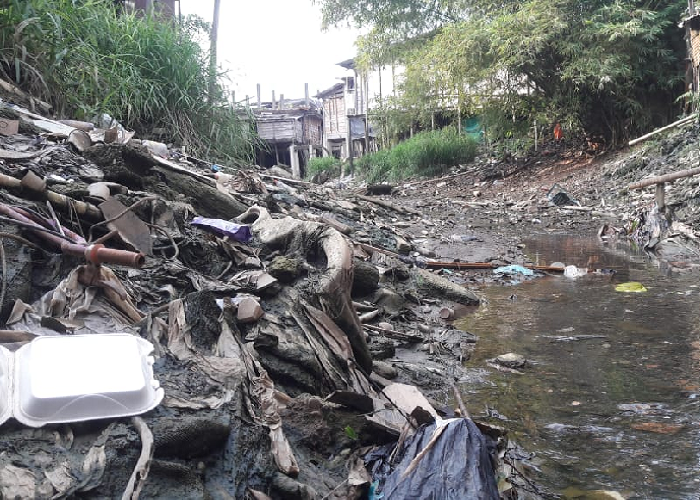 El río Cabí, un hijo del Atrato que también se muere