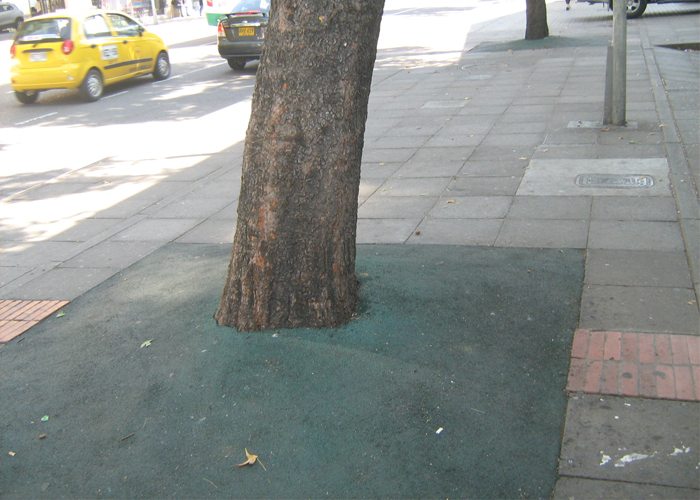 A los árboles de Bogotá no solo los talan, también los asfixian