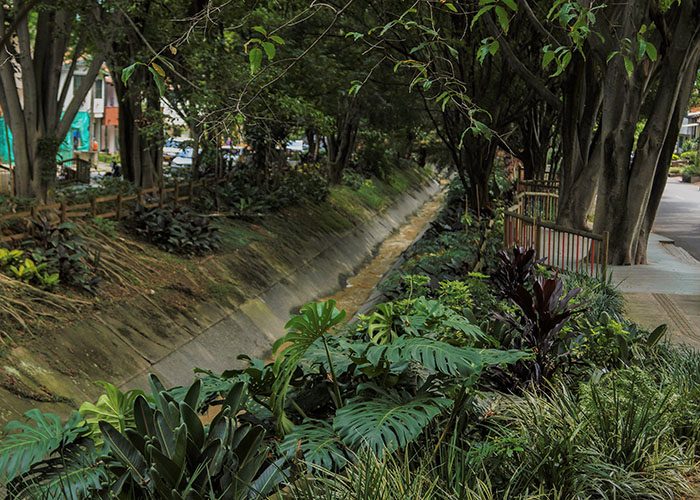 Los europeos aplauden el verde de Medellín - -- Las2orillas - Los europeos aplauden el verde de Medellín