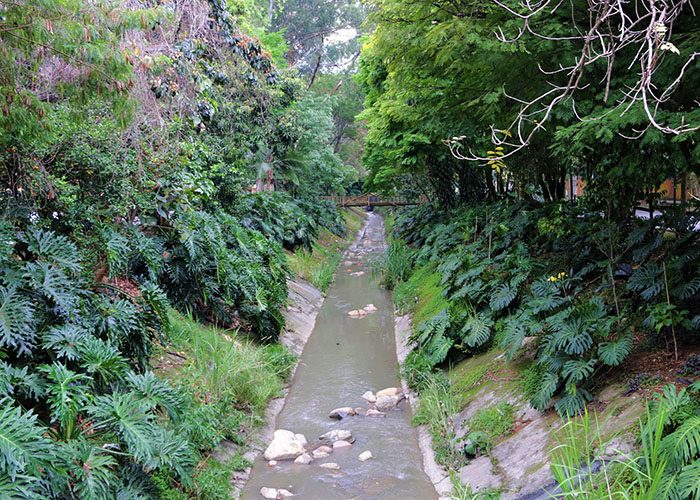 Los europeos aplauden el verde de Medellín - -- Las2orillas - Los europeos aplauden el verde de Medellín