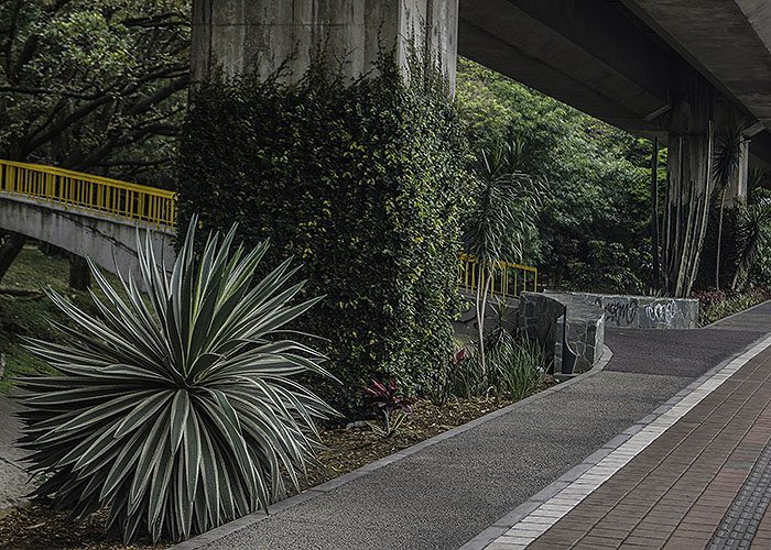 Los europeos aplauden el verde de Medellín - -- Las2orillas - Los europeos aplauden el verde de Medellín
