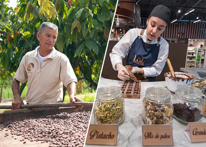 Lök: La empresa que decidió apostarle al cacao y no a la coca