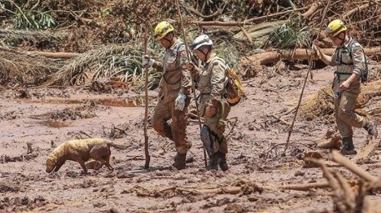 Las aguas negras de la minería, ¡qué horror!