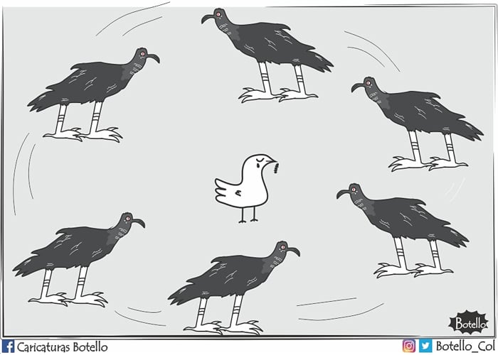 Caricatura: Comisión accidental, literalmente