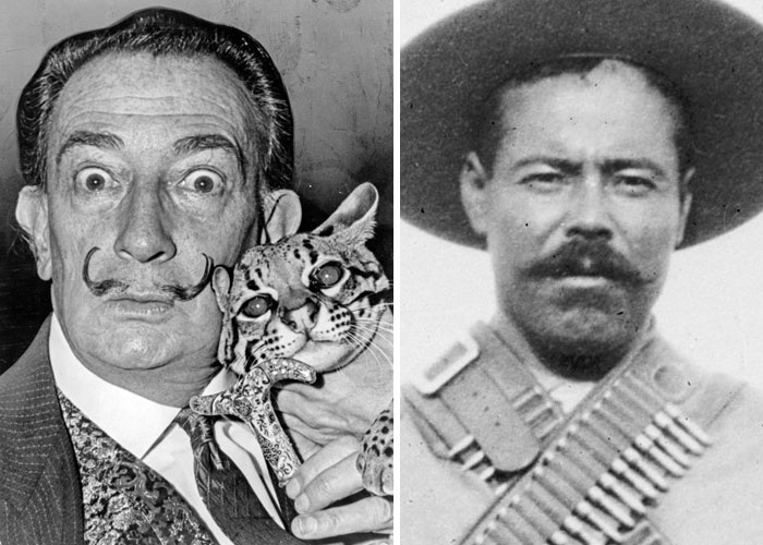 De la chifladura humana y otras rarezas