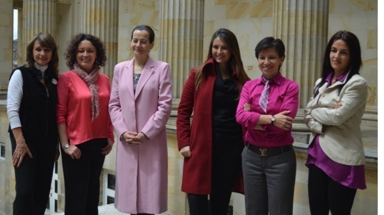 Sobre las formas de la violencia contra las mujeres políticas