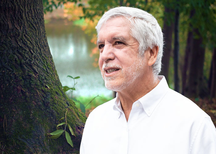 Peñalosa no se detiene: 462 árboles están en riesgo de ser talados en Teusaquillo