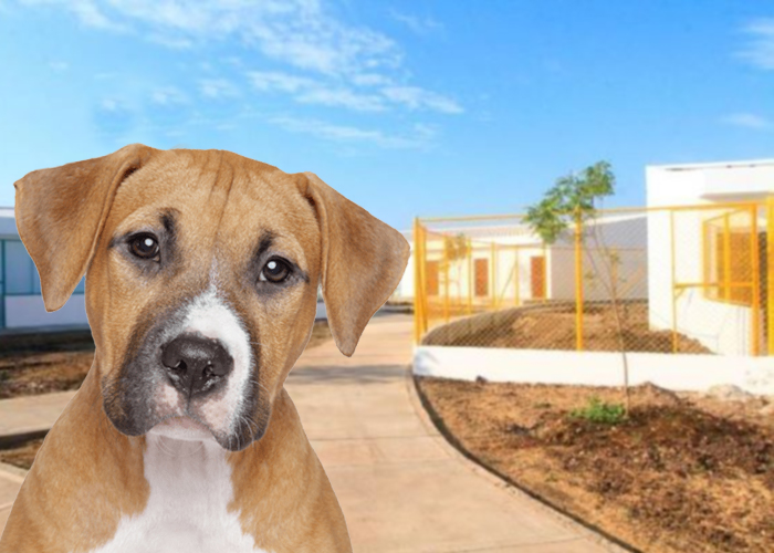 El Guardián no es lo que Dumek Turbay dice