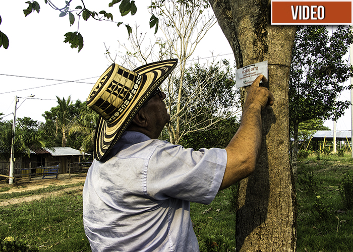 Los muertos del paramilitarismo viven en un bosque en el Magdalena Medio