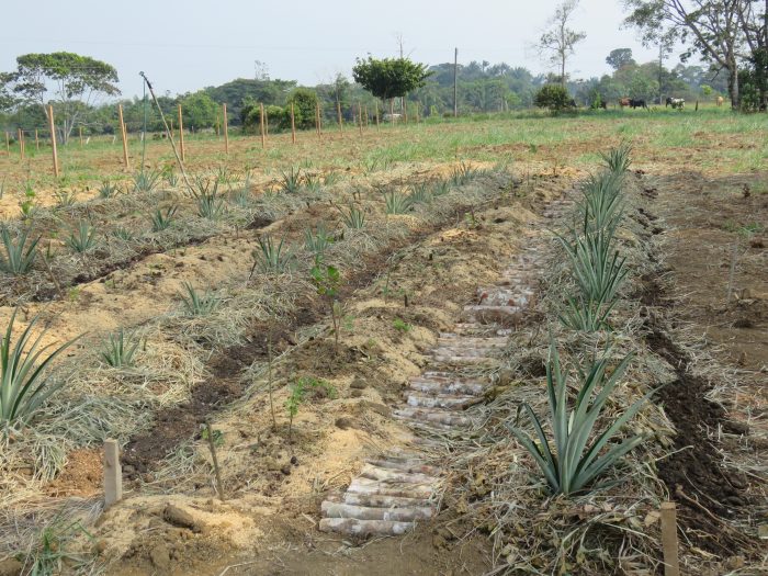  - La zona veredal en el Caquetá que podría convertirse en el primer pueblo de exguerrilleros