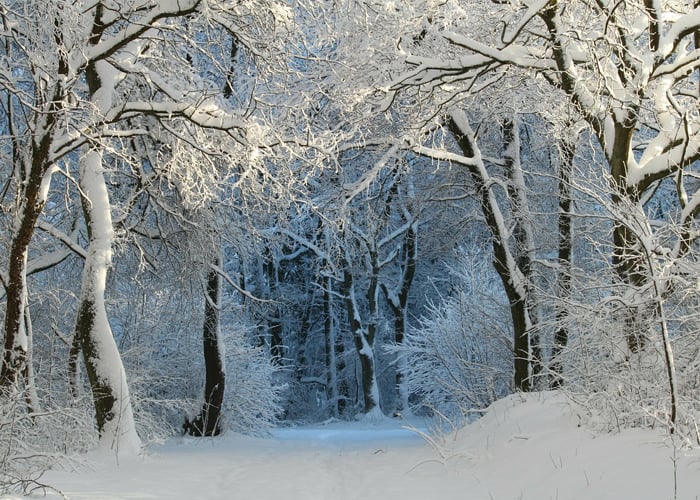 Si no convertimos nuestras palabras en hechos concretos, “el invierno vendrá”