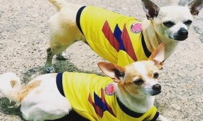  - Las tres del tintero