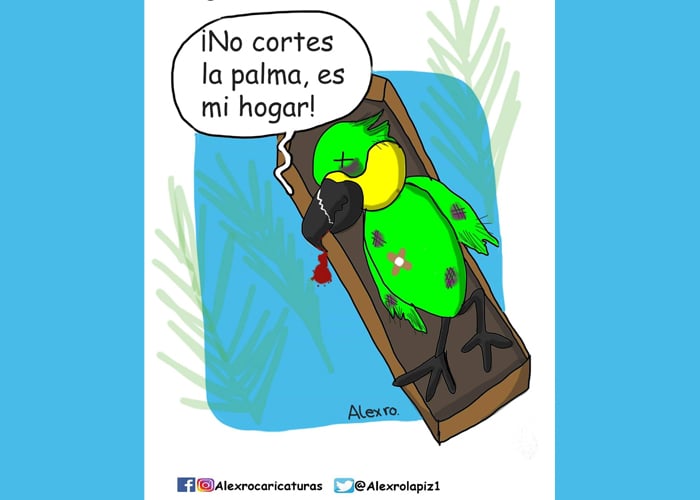 Caricatura: Domingo de ramos, tanto predican pero nada que aplican