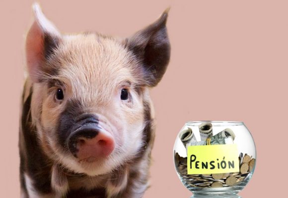 Marranito y el engaño de su vida