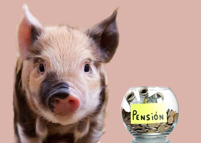 Marranito y el engaño de su vida