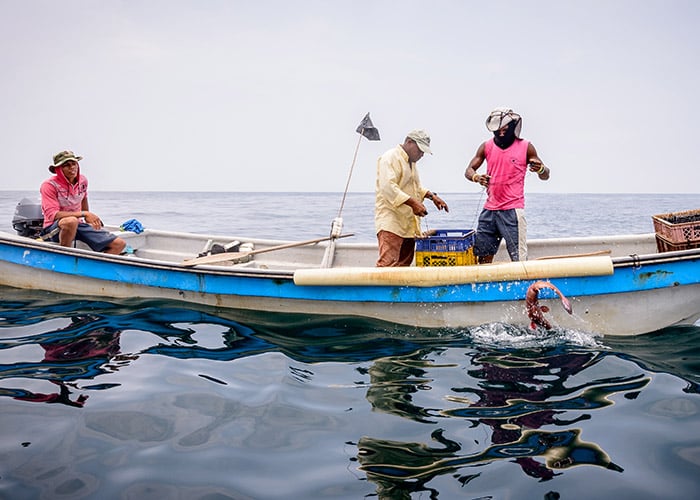 Durante semana santa los colombianos incrementan tres veces el consumo de pescado