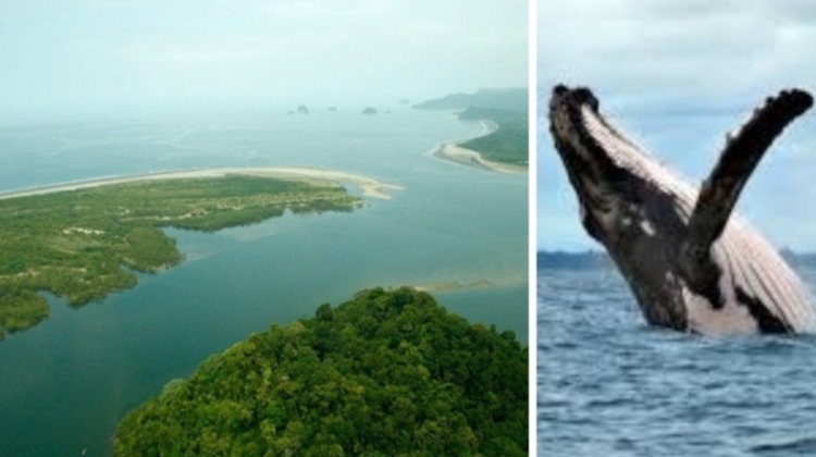 Tribugá,  el falso sentido del desarrollo